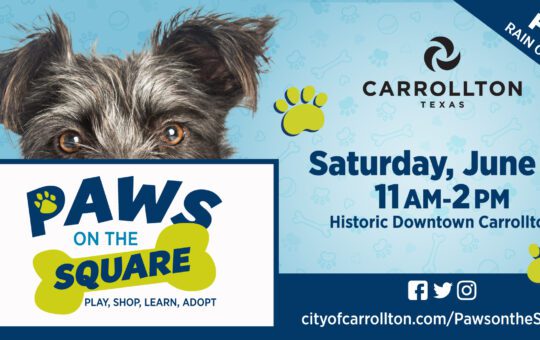 Paws on the Square - Carrollton