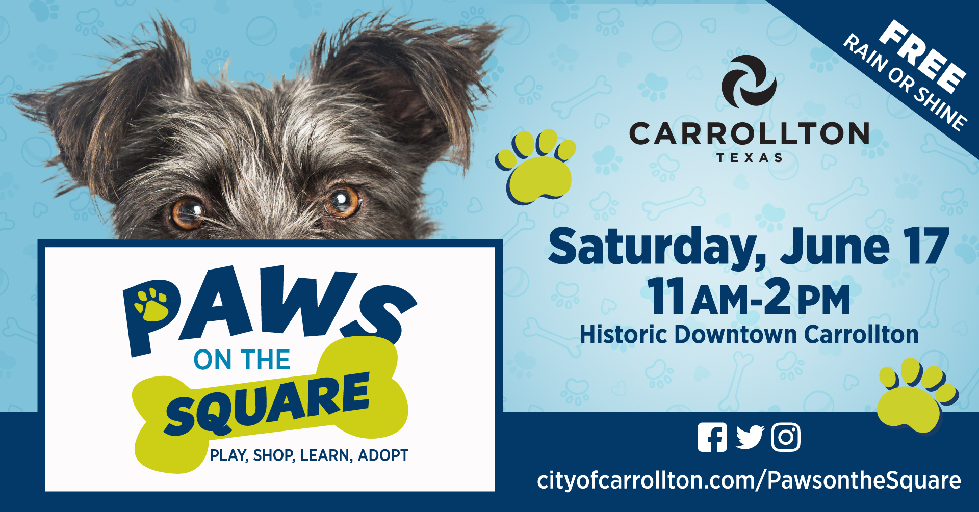 Paws on the Square returns to Carrollton with a fun afternoon of free