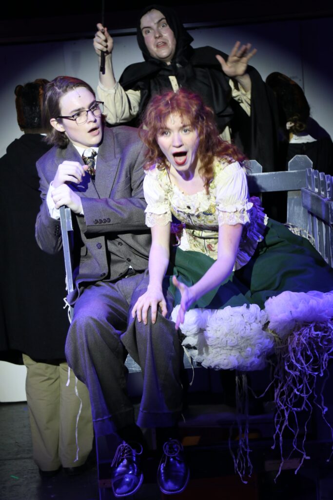 NTPA Repertory Theatre "Young Frankenstein"