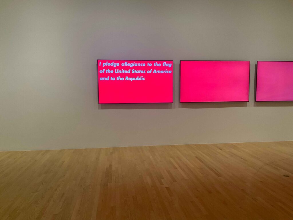 Dallas Museum of Art "He Said/She Said: Contemporary Women Artists Interject"